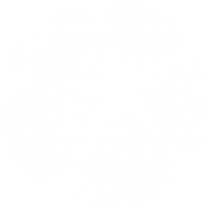 Logo Integra white